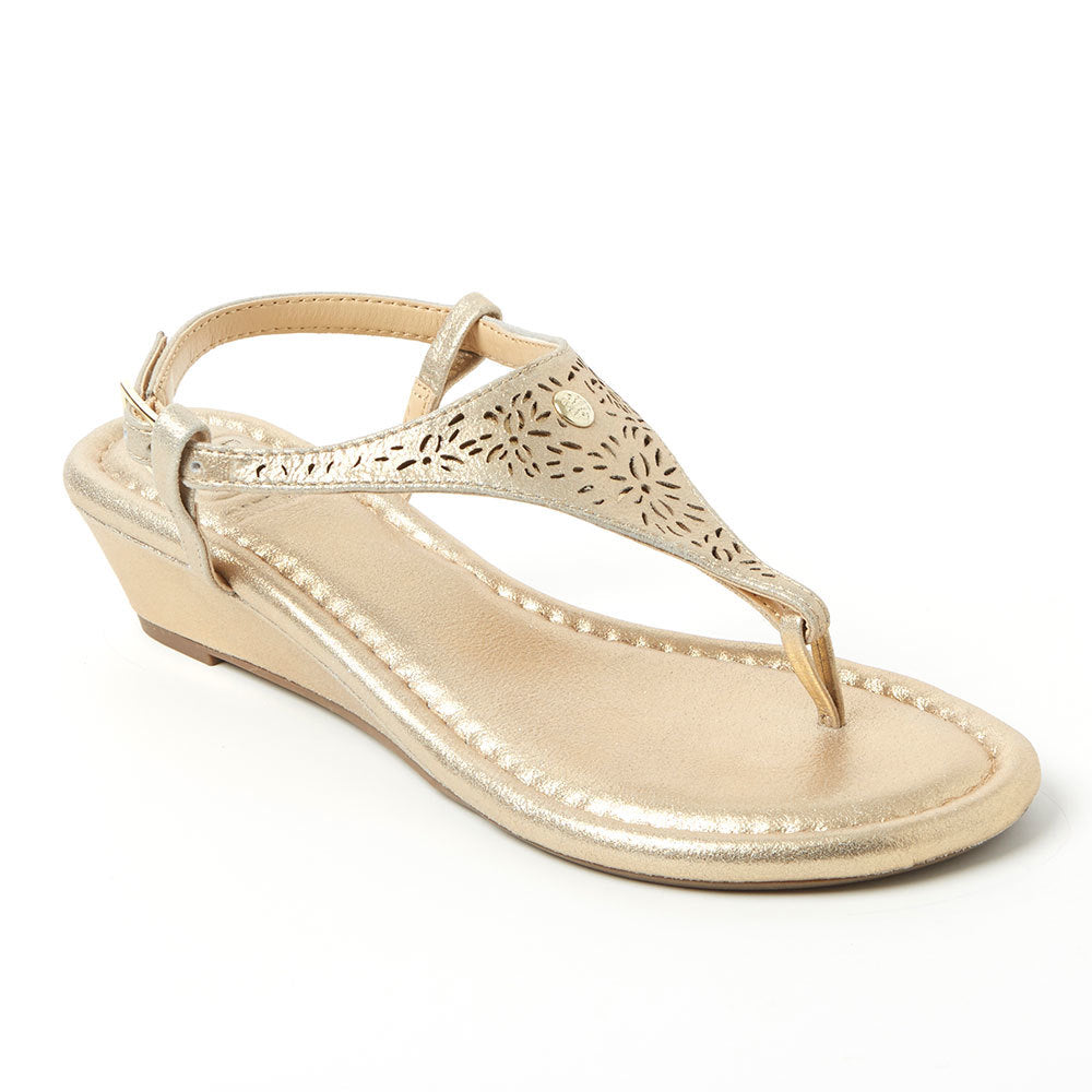 Champagne Laser Cut Cambiami